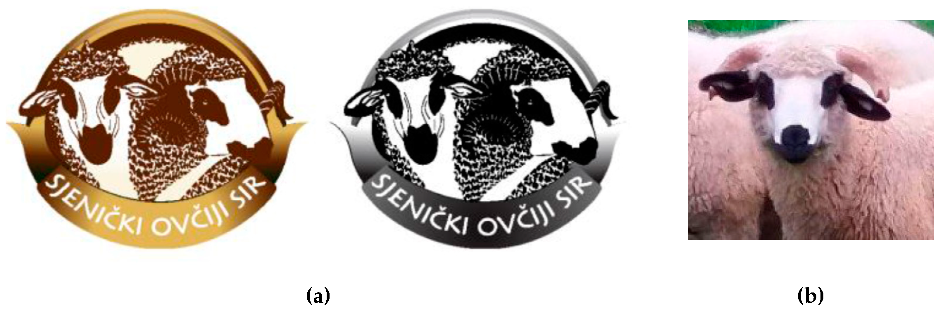 Sustainability 11 00834 g001 Sustainability 11 00834 g001