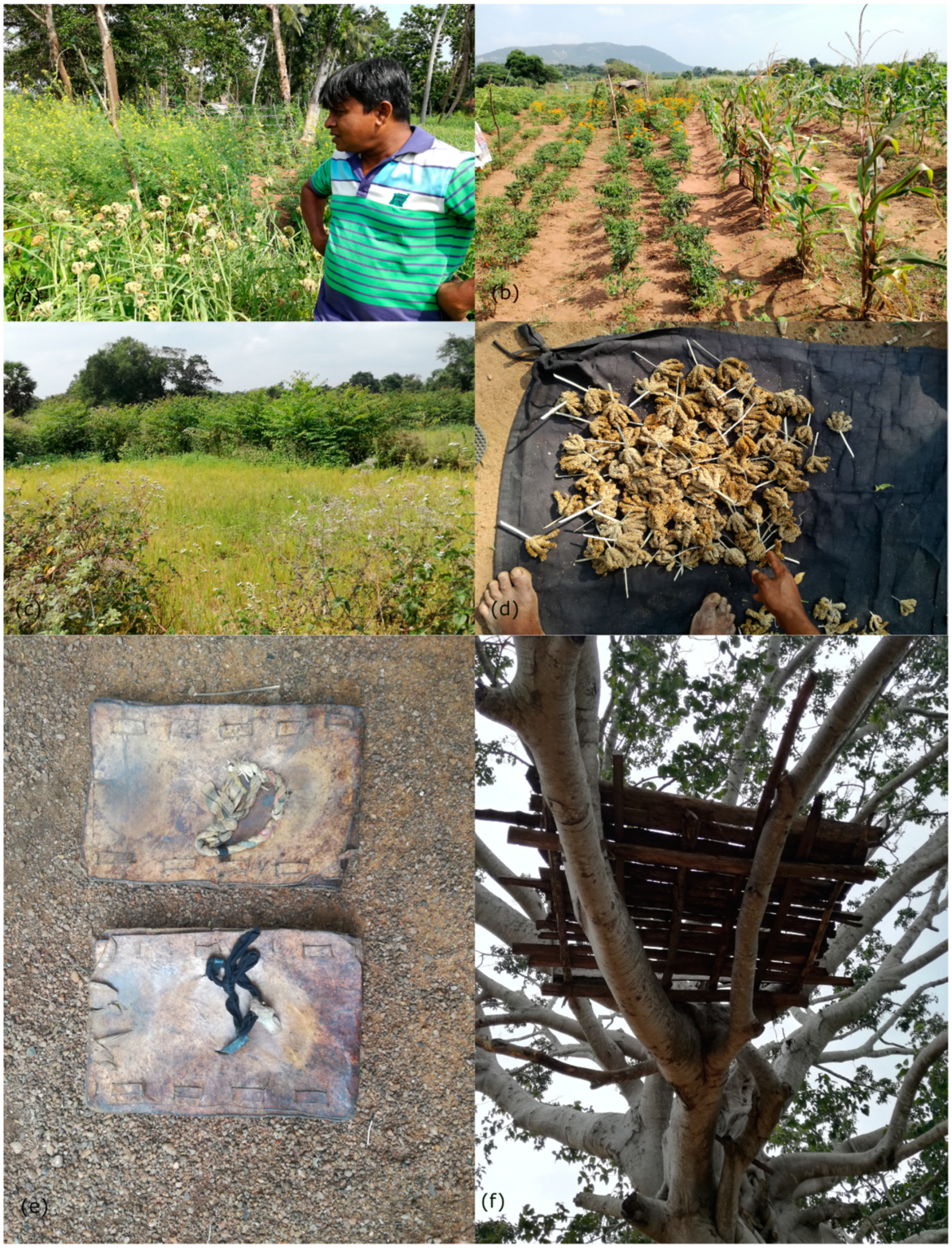 Sustainability 11 00910 g007