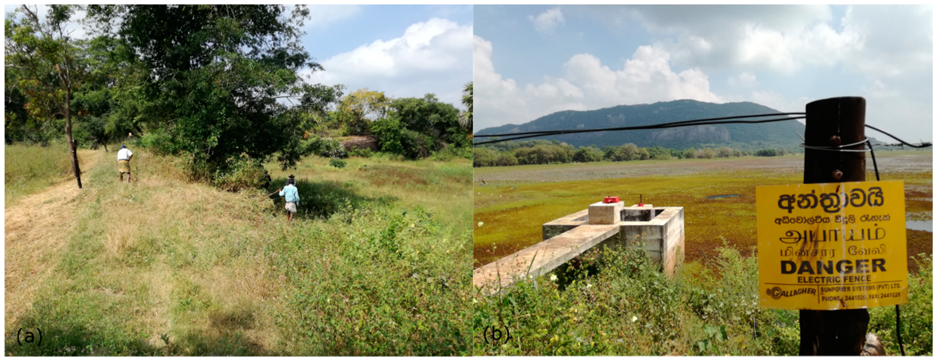 Sustainability 11 00910 g008