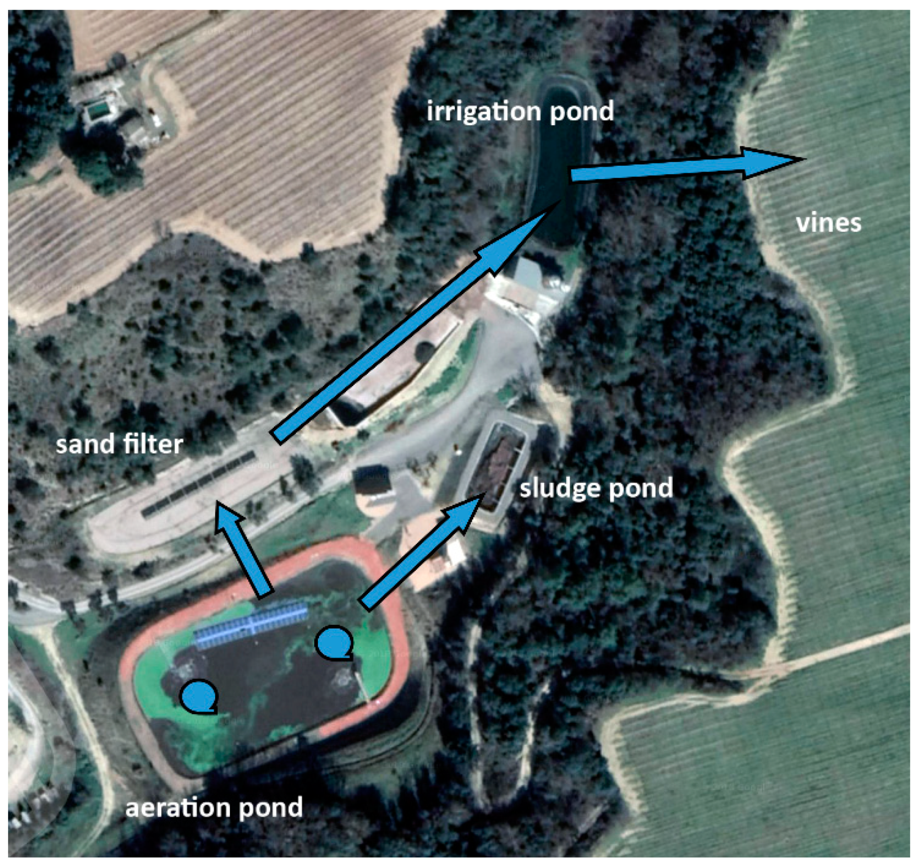 Sustainability 11 00951 g001