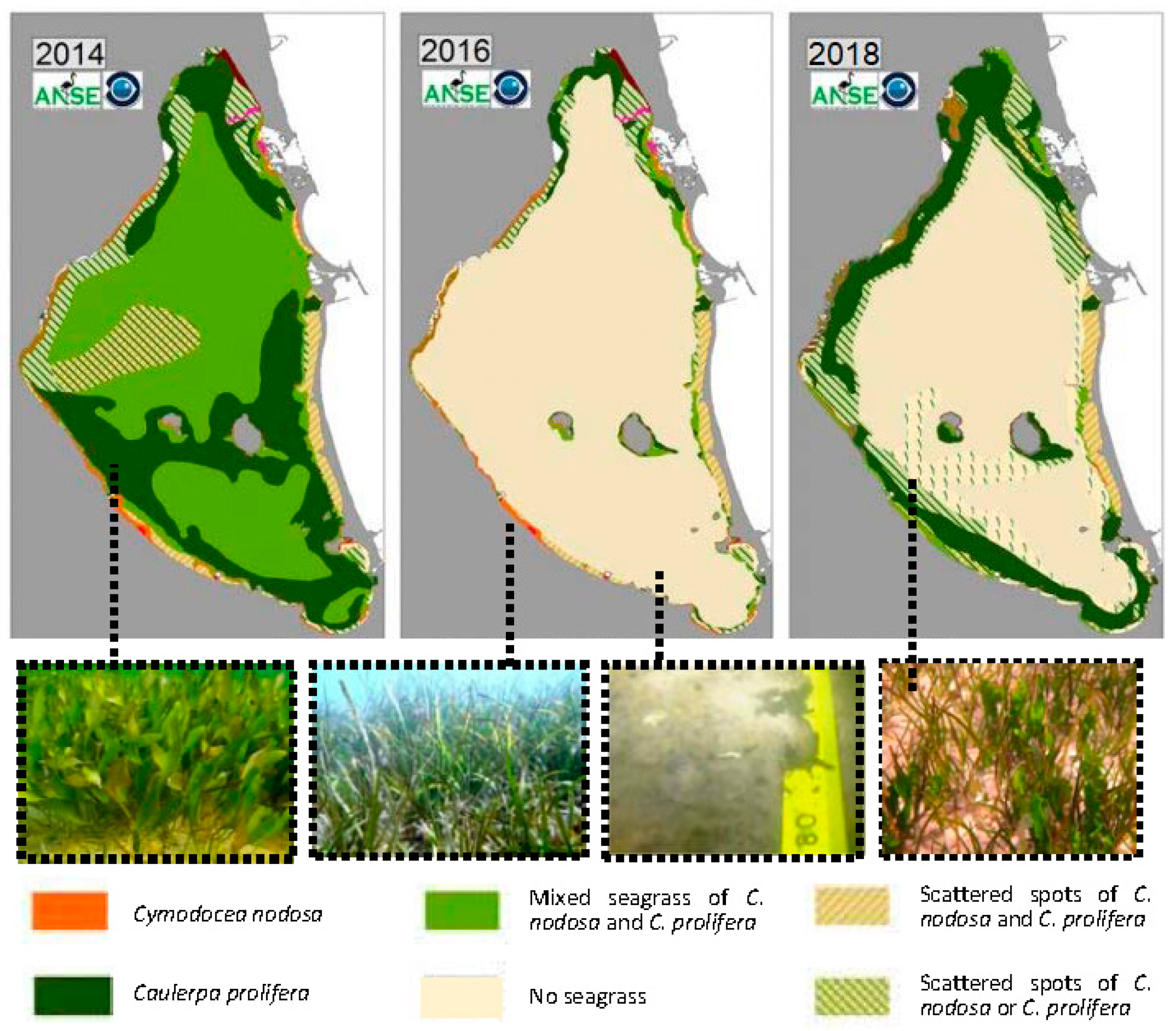 Sustainability 11 01039 g008