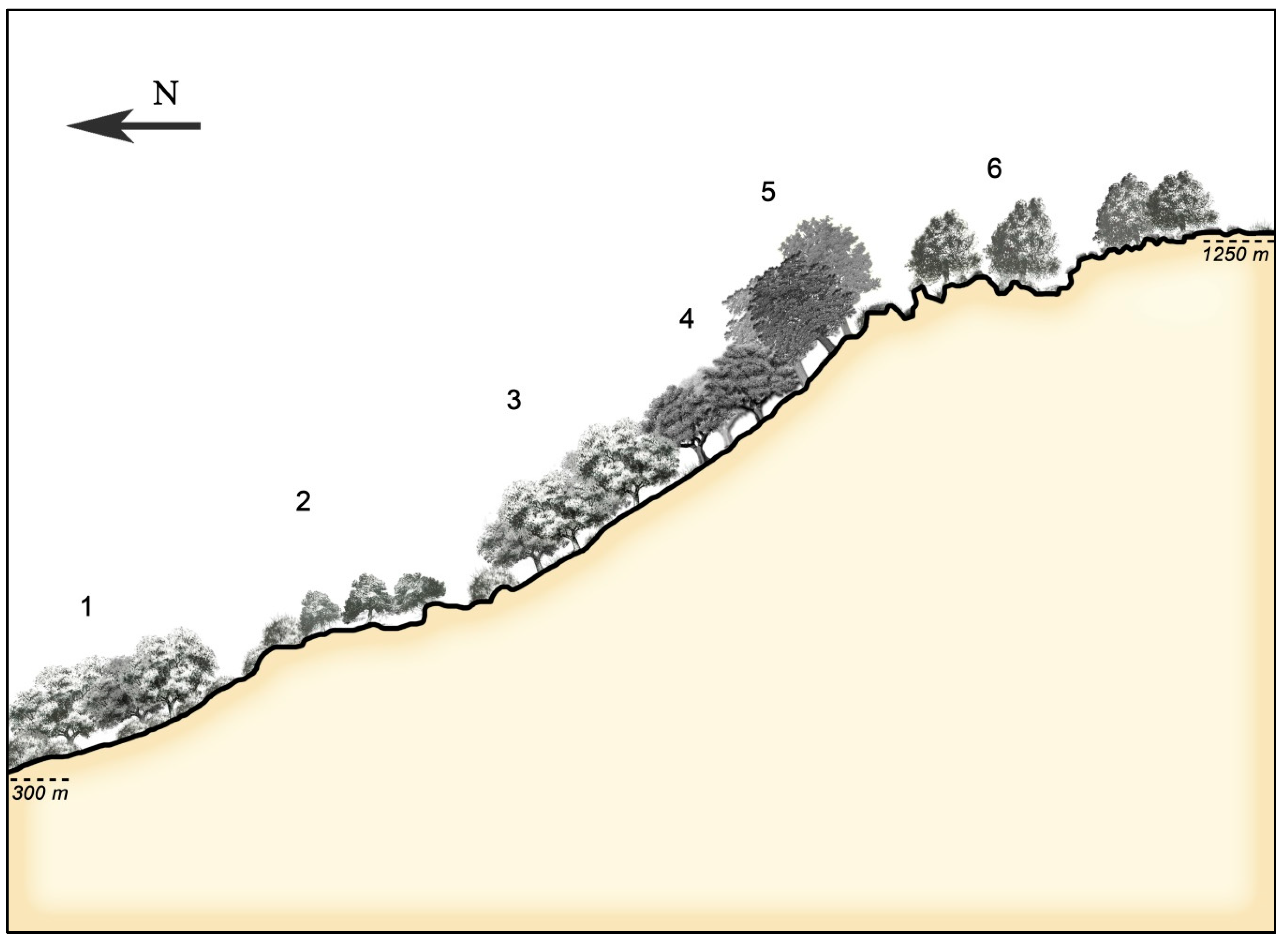 Sustainability 11 01111 g006 Sustainability 11 01111 g006