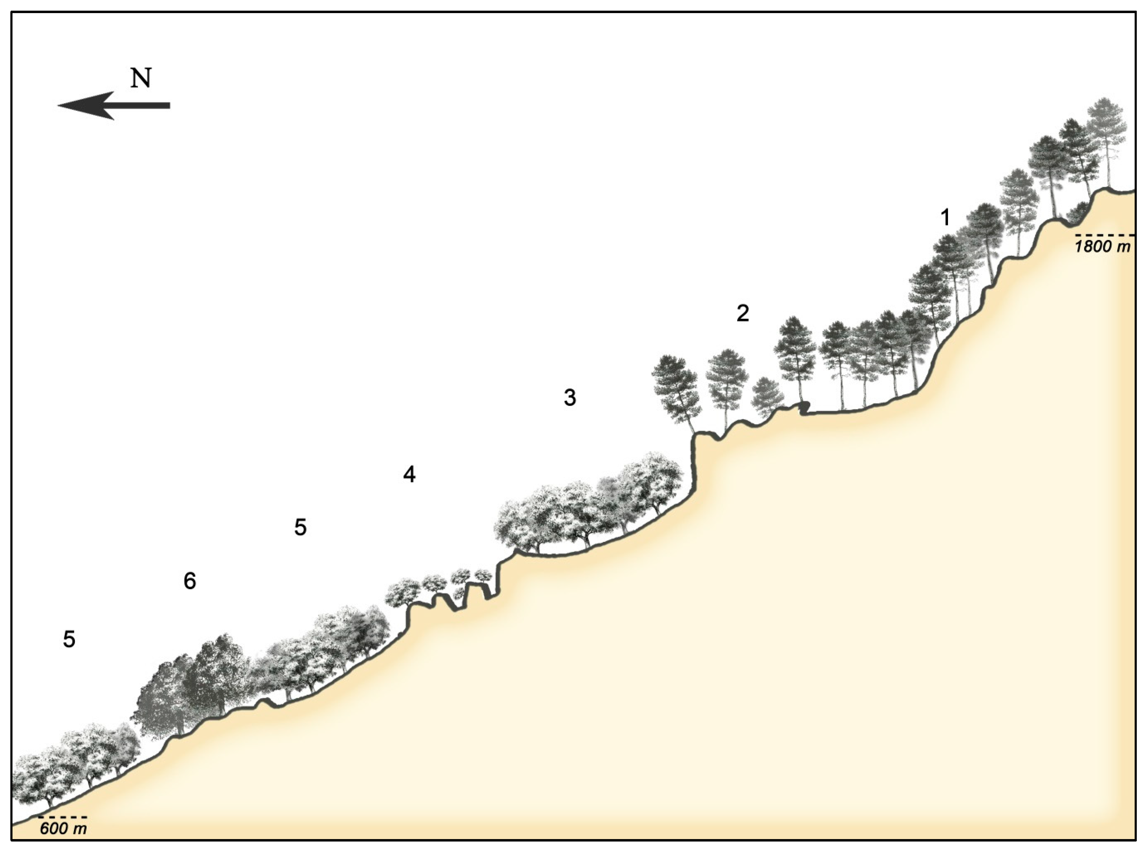 Sustainability 11 01111 g008 Sustainability 11 01111 g008