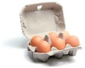 Sustainability 11 01226 i040