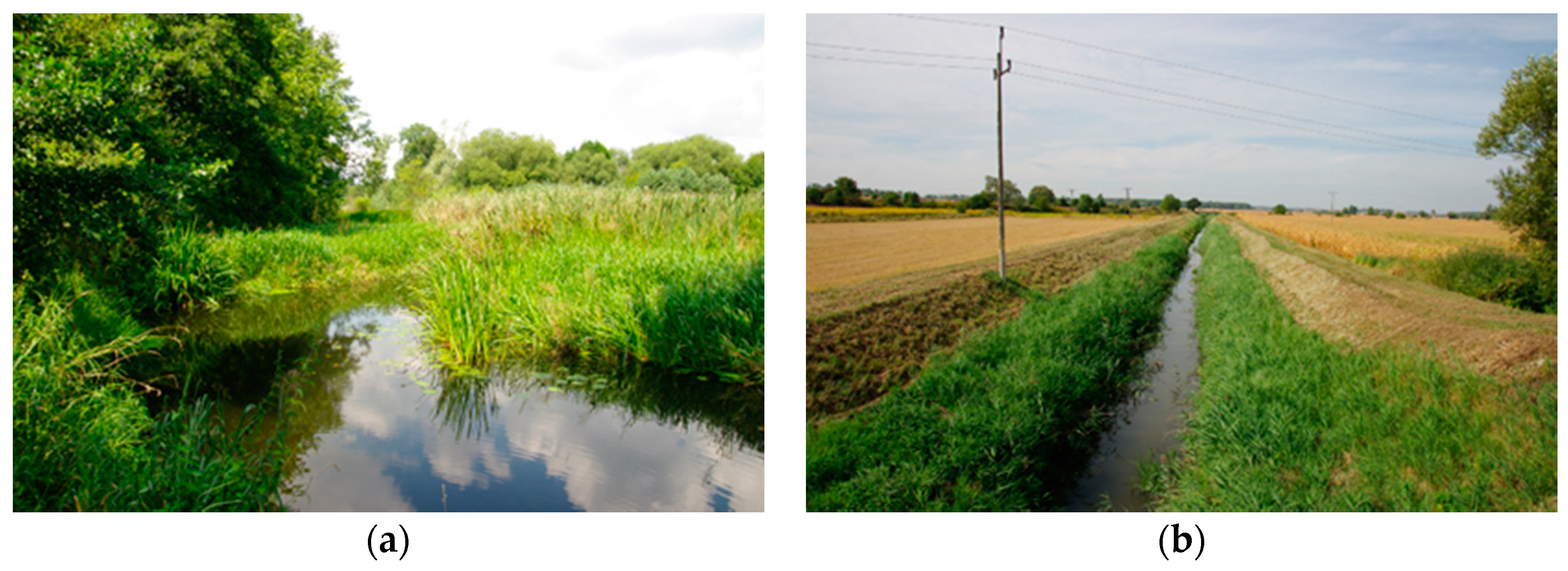 Sustainability 11 01260 g002a