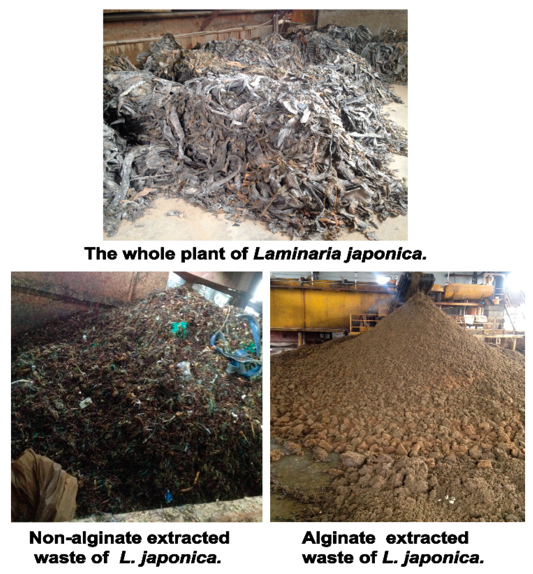 Sustainability 11 01269 g001