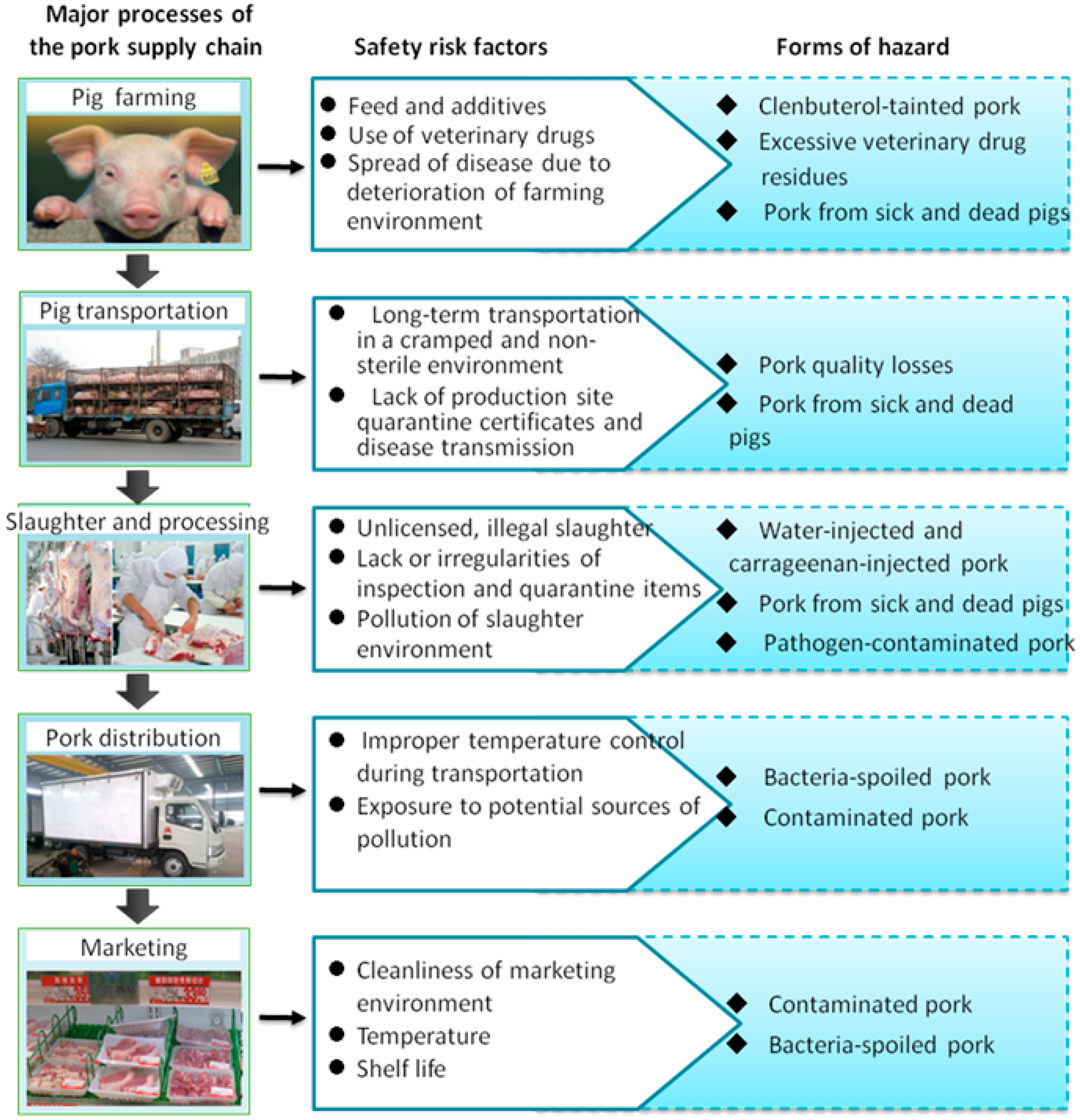 Sustainability 11 01464 g001 Sustainability 11 01464 g001