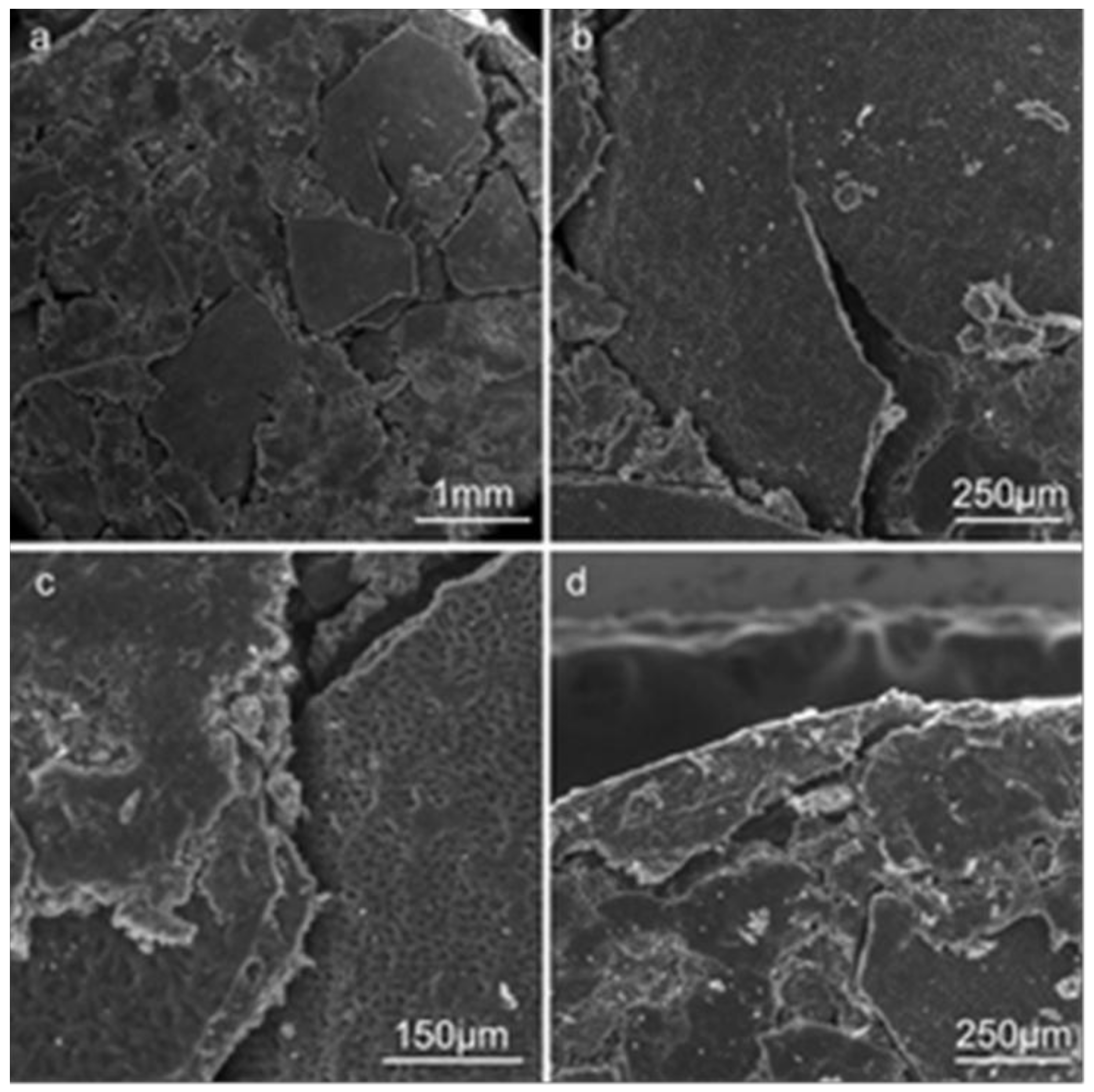 Sustainability 11 01504 g002