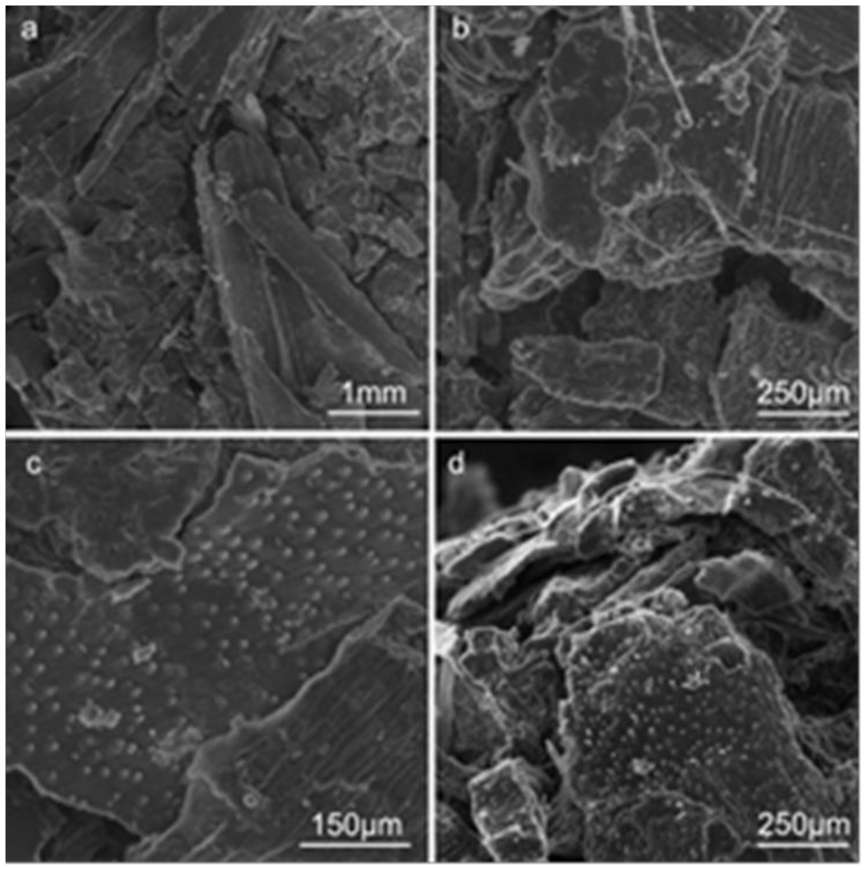 Sustainability 11 01504 g003