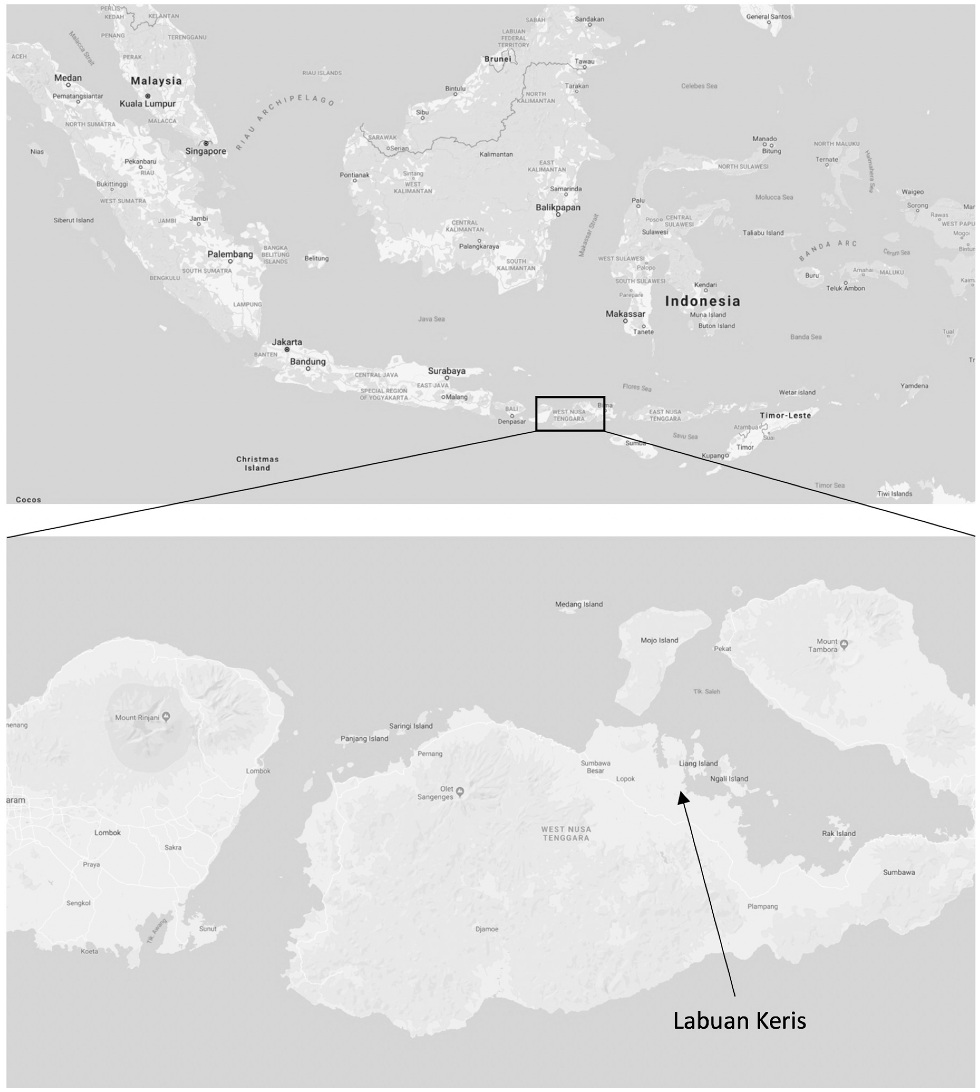 Sustainability 11 01543 g001