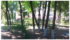 Sustainability 11 01572 i003 Sustainability 11 01572 i003