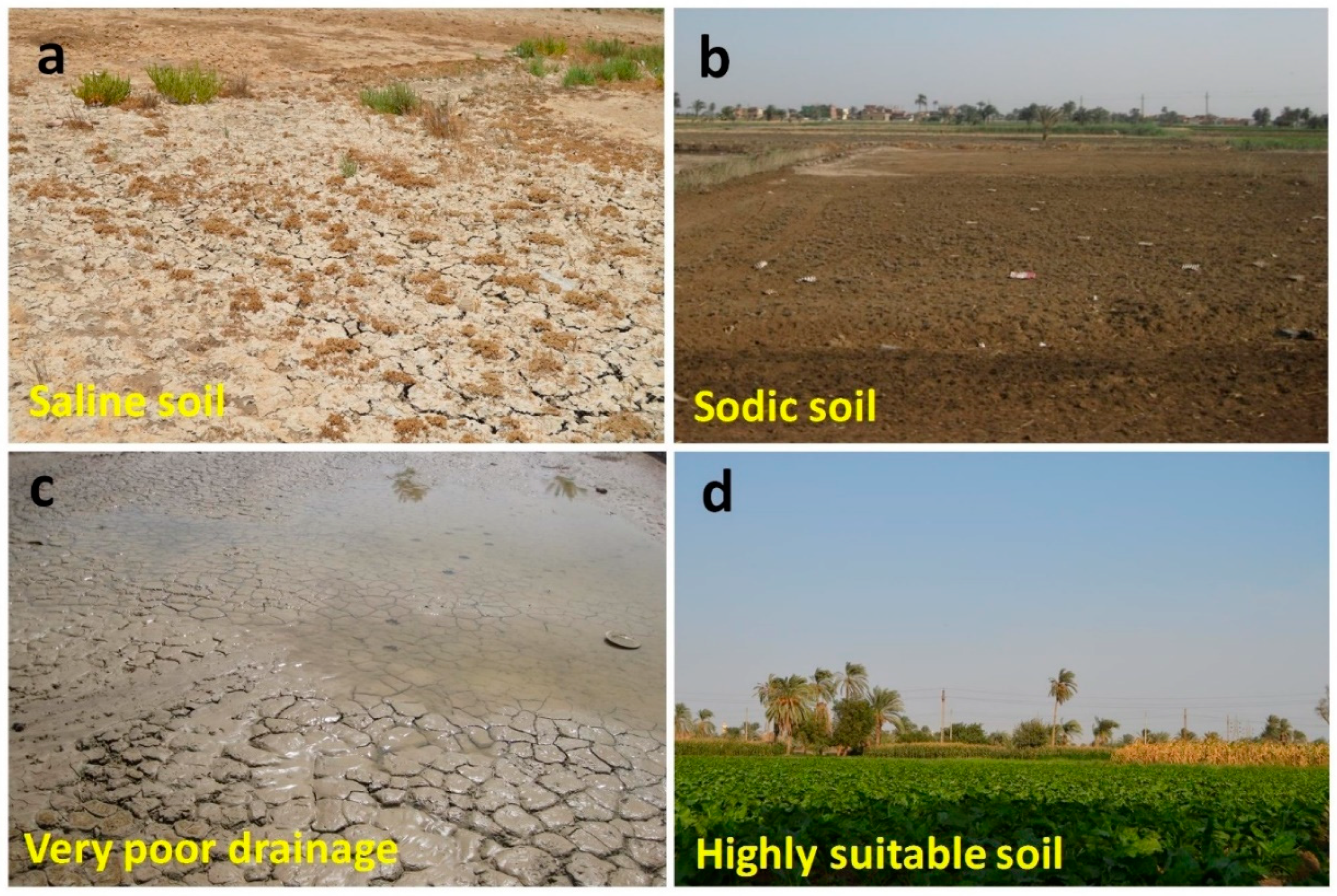 Sustainability 11 01588 g003