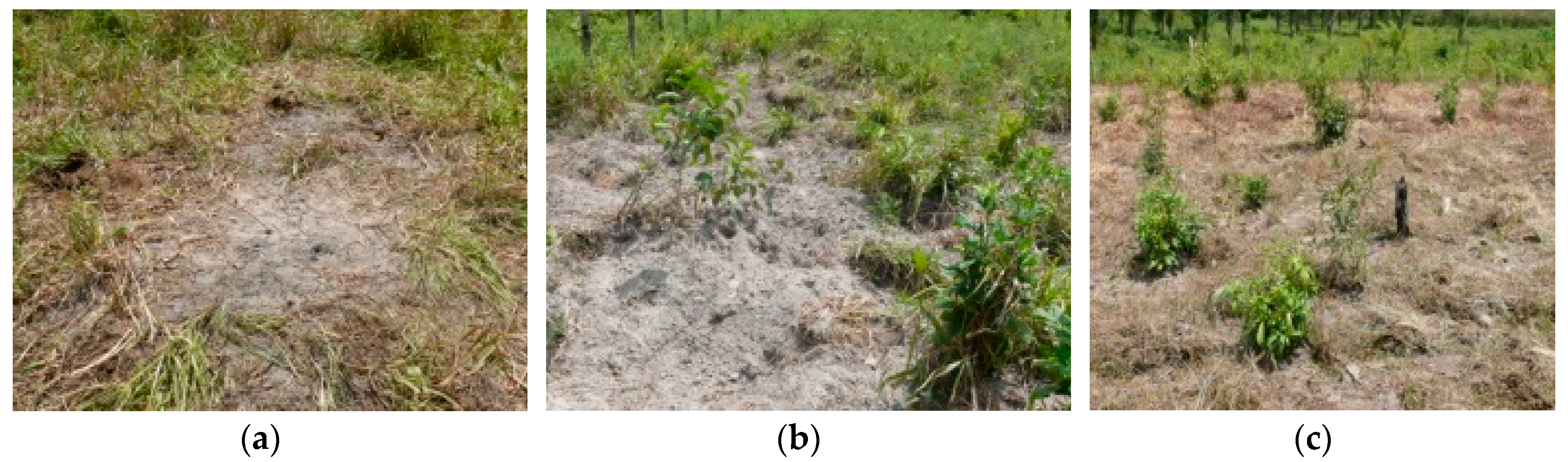 Sustainability 11 01729 g004