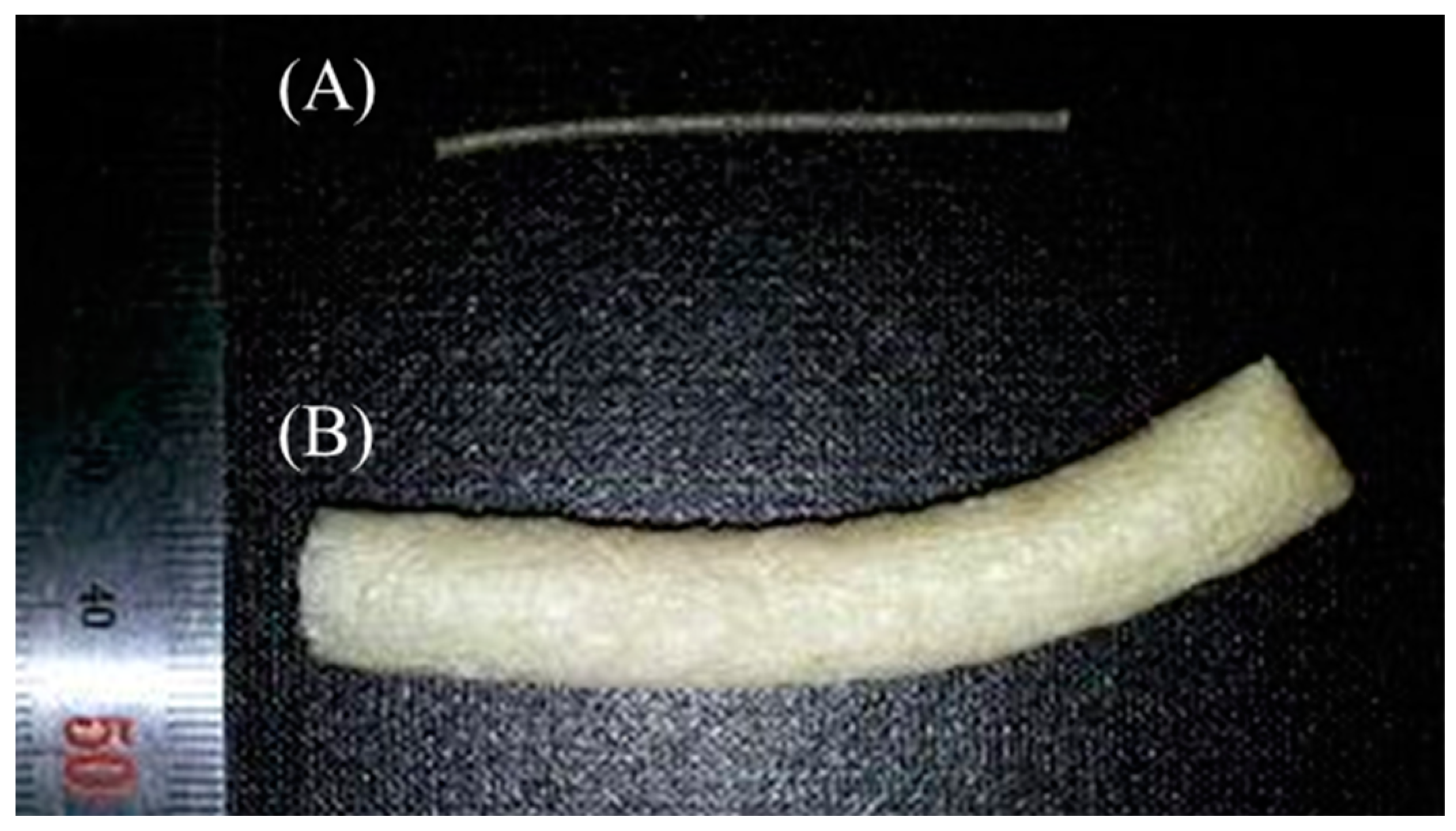 Sustainability 11 01731 g008