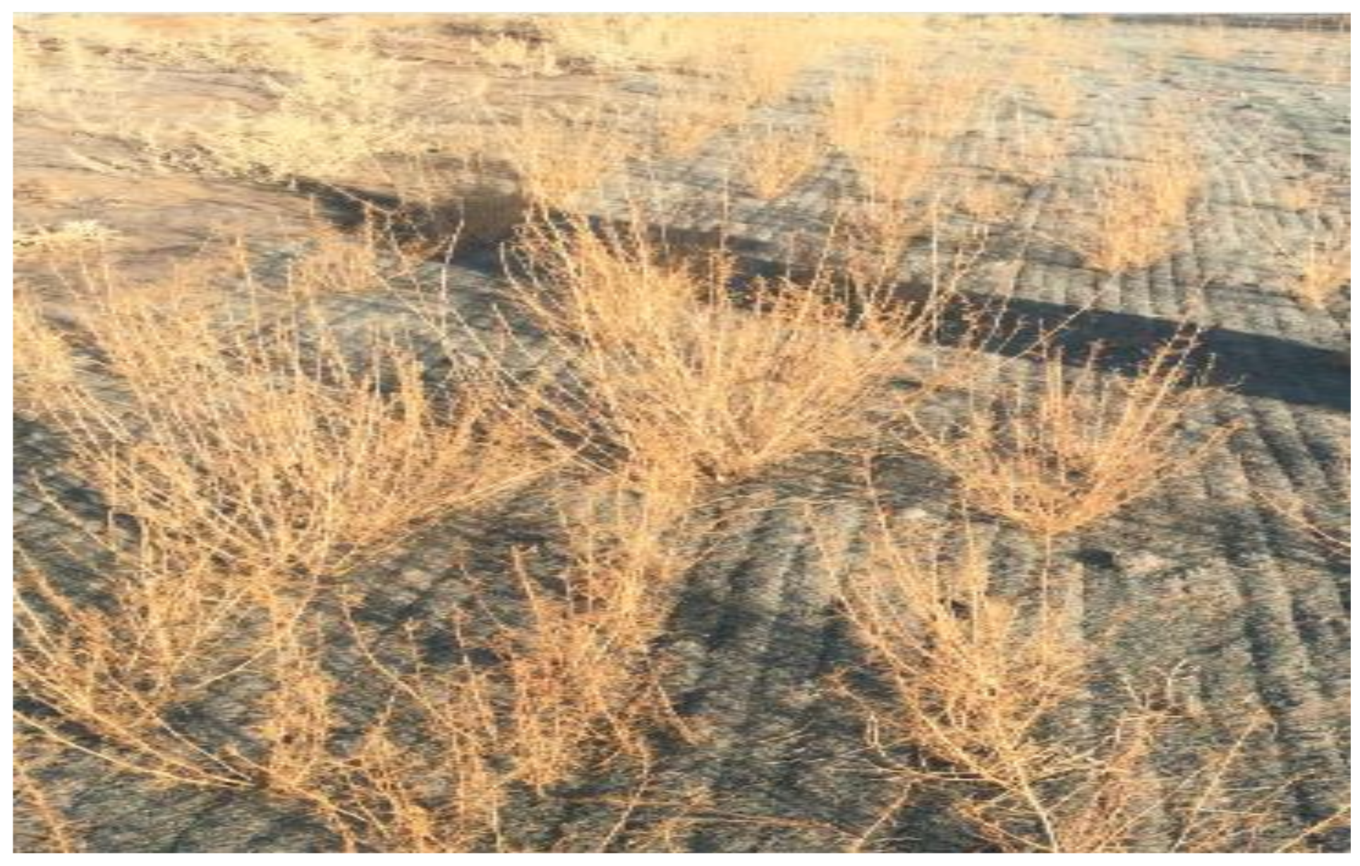 Sustainability 11 01751 g009