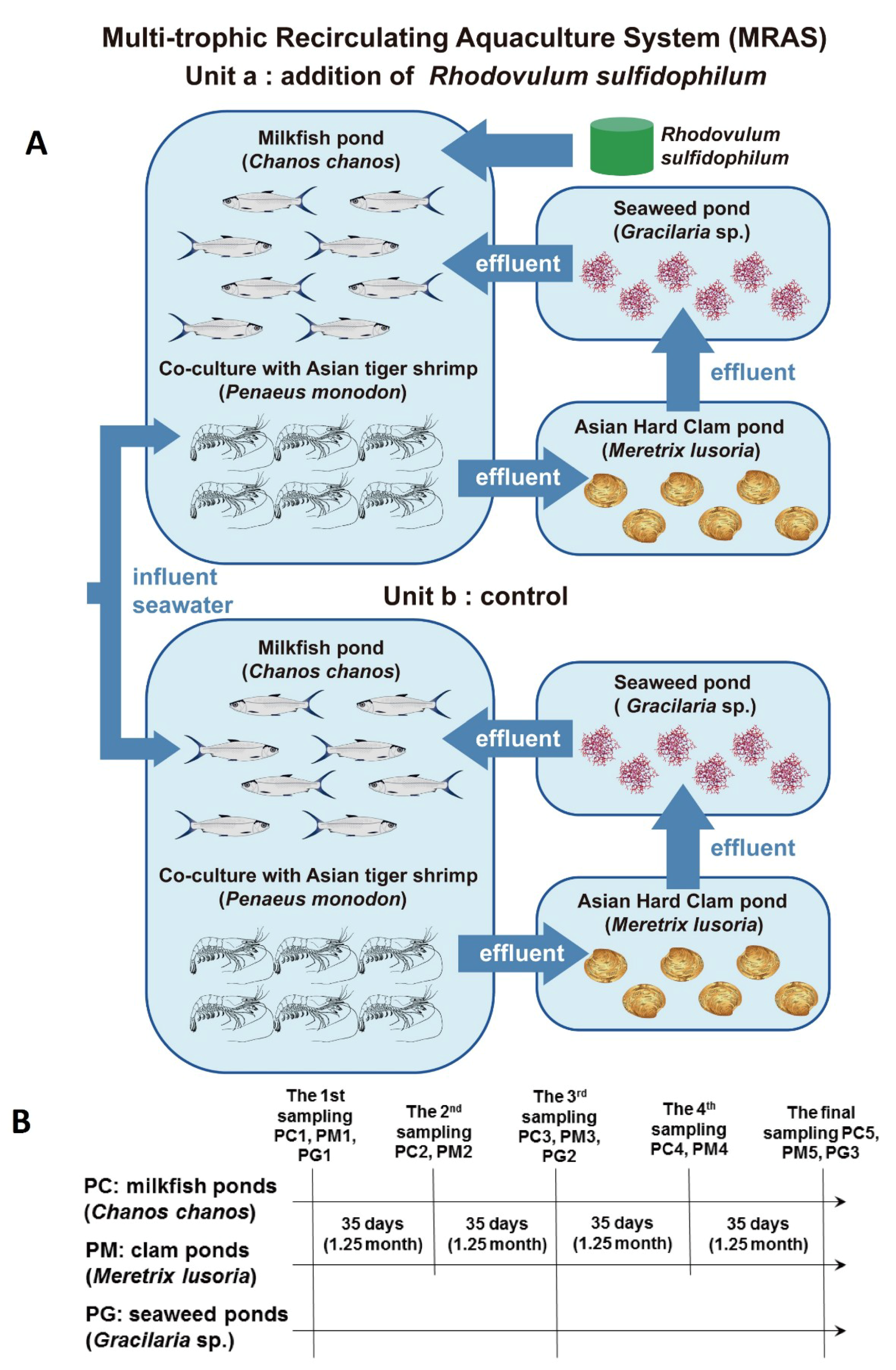 Sustainability 11 01880 g001