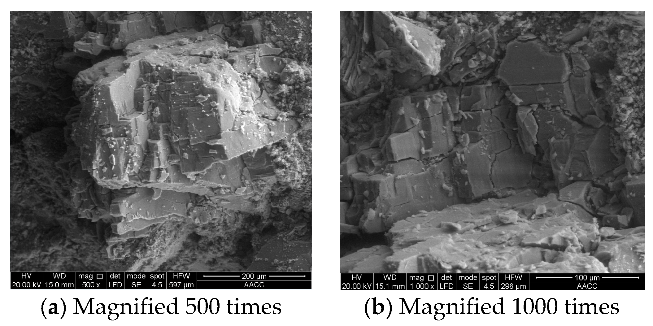 Sustainability 11 01892 g001