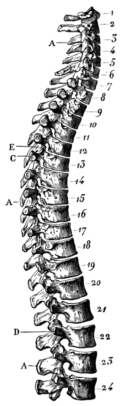 Sustainability 11 02008 g012