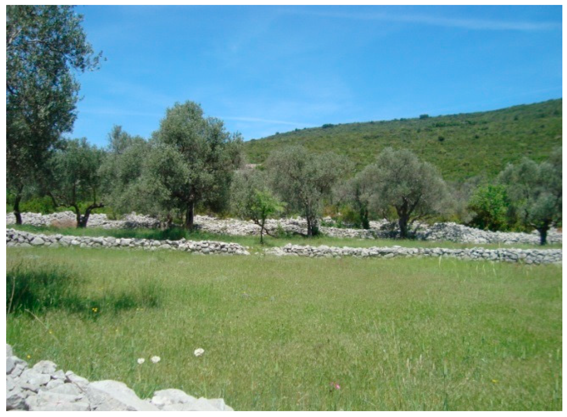 Sustainability 11 02039 g002