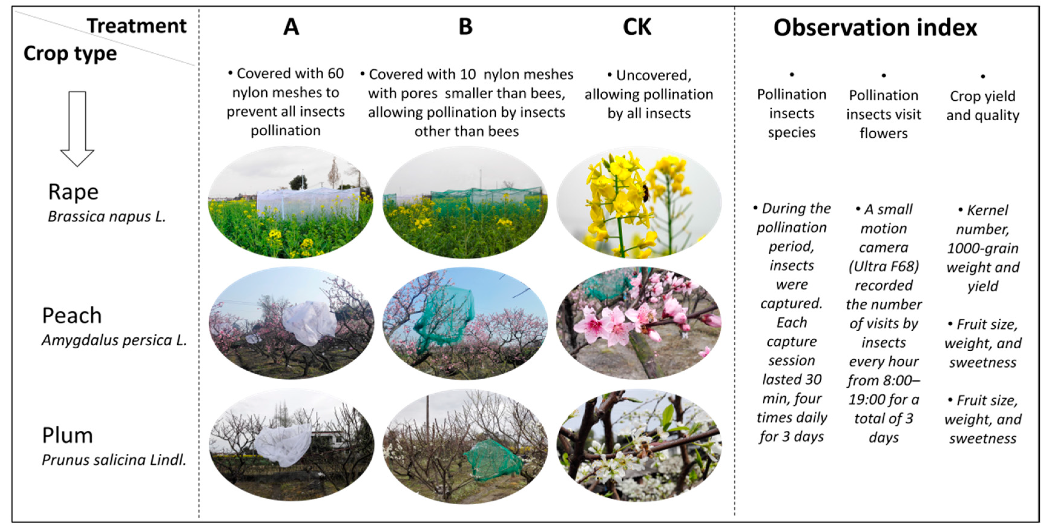 Sustainability 11 02169 g002