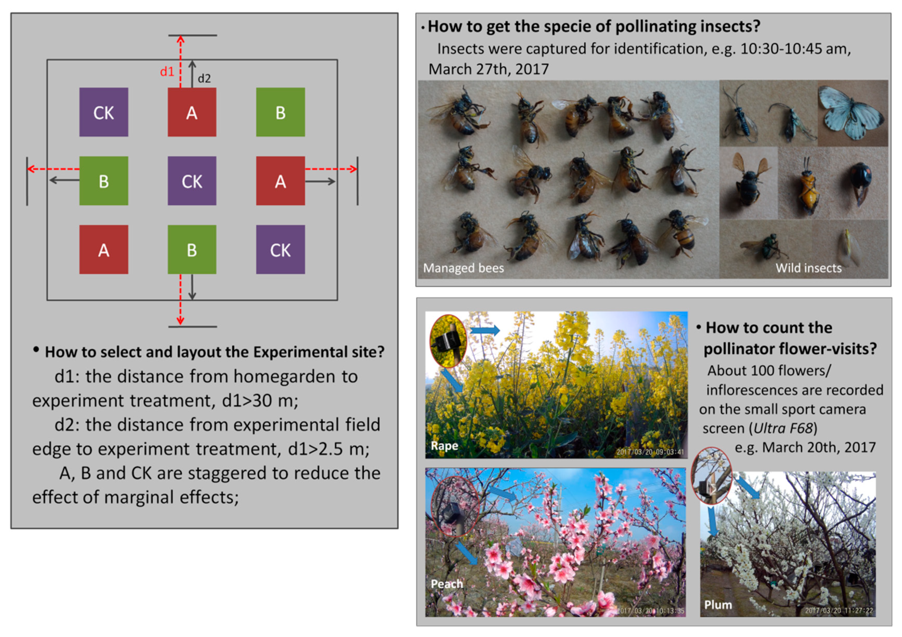 Sustainability 11 02169 g003