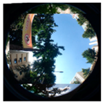 Sustainability 11 02251 i003