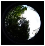 Sustainability 11 02251 i007