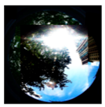 Sustainability 11 02251 i011