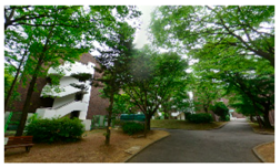 Sustainability 11 02251 i012