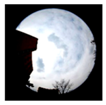 Sustainability 11 02251 i015