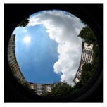 Sustainability 11 02251 i019