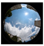 Sustainability 11 02251 i023