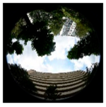 Sustainability 11 02251 i035