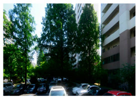 Sustainability 11 02251 i036