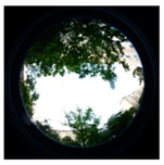 Sustainability 11 02251 i039