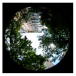 Sustainability 11 02251 i043