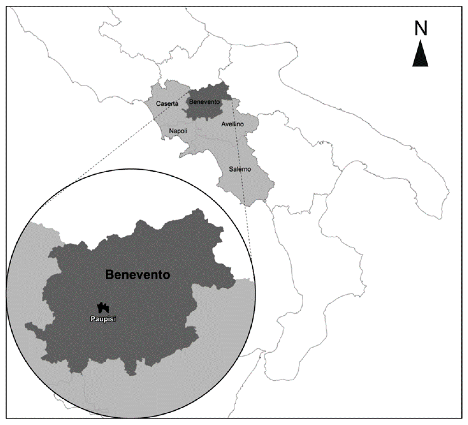 Sustainability 11 02382 g001