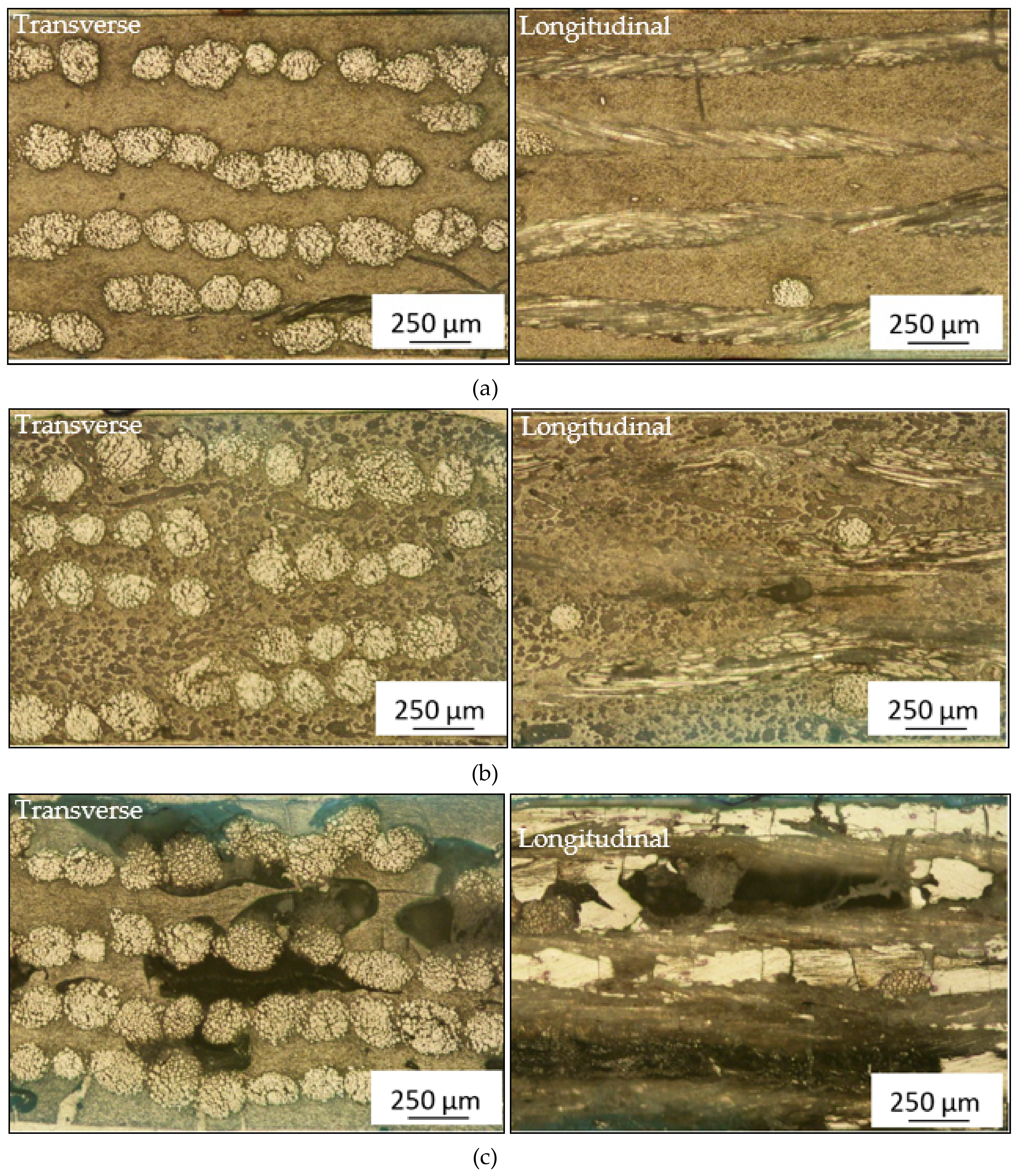 Sustainability 11 02411 g008
