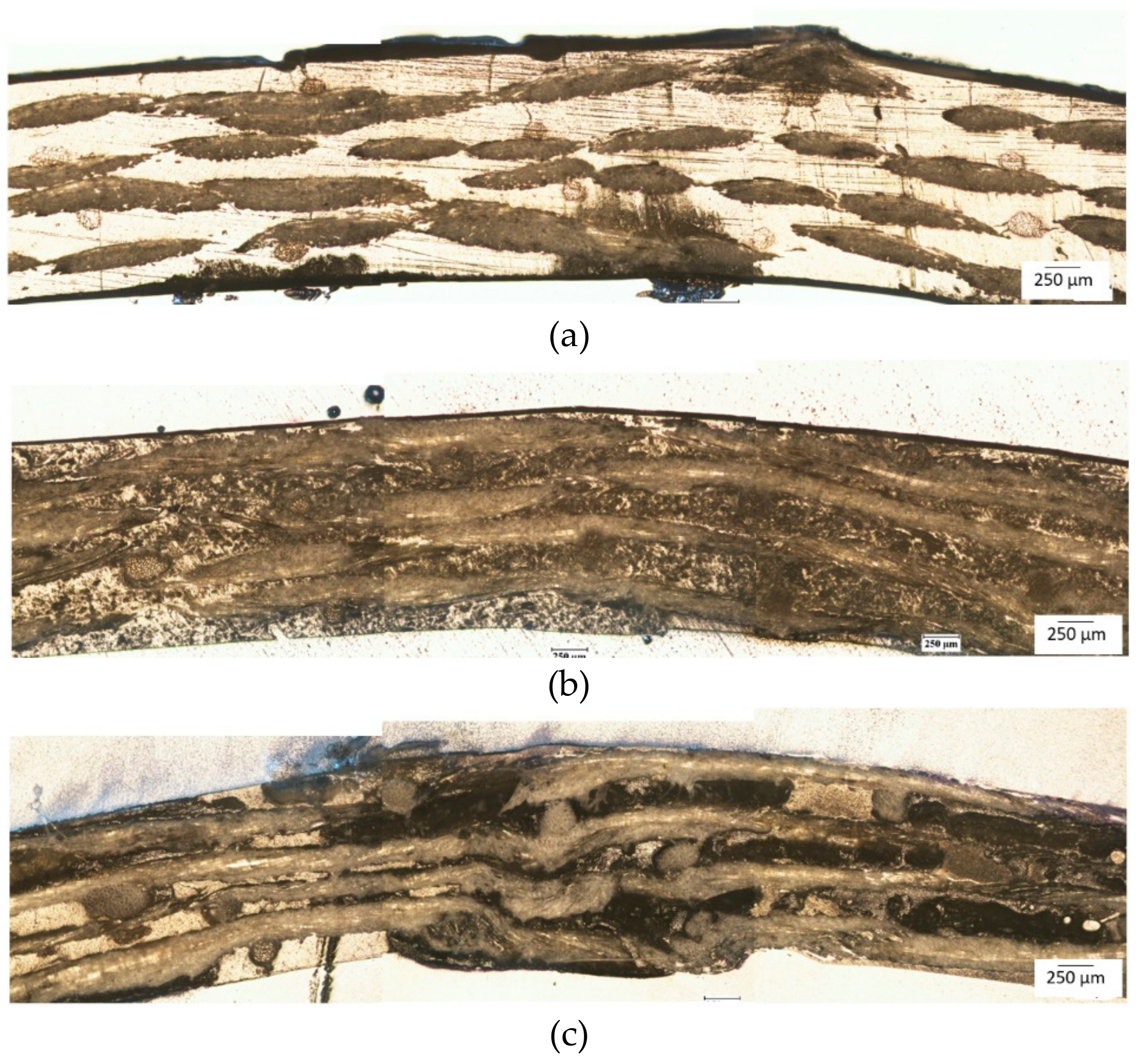 Sustainability 11 02411 g009