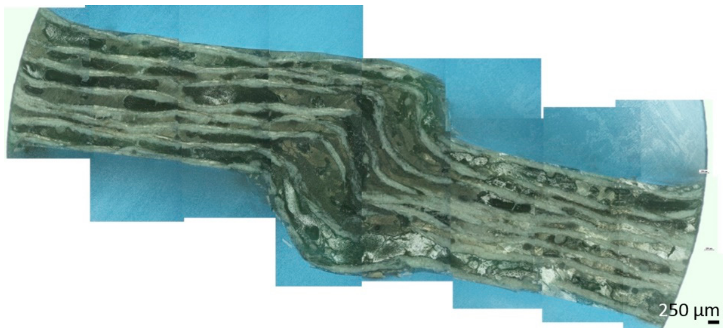 Sustainability 11 02411 g010