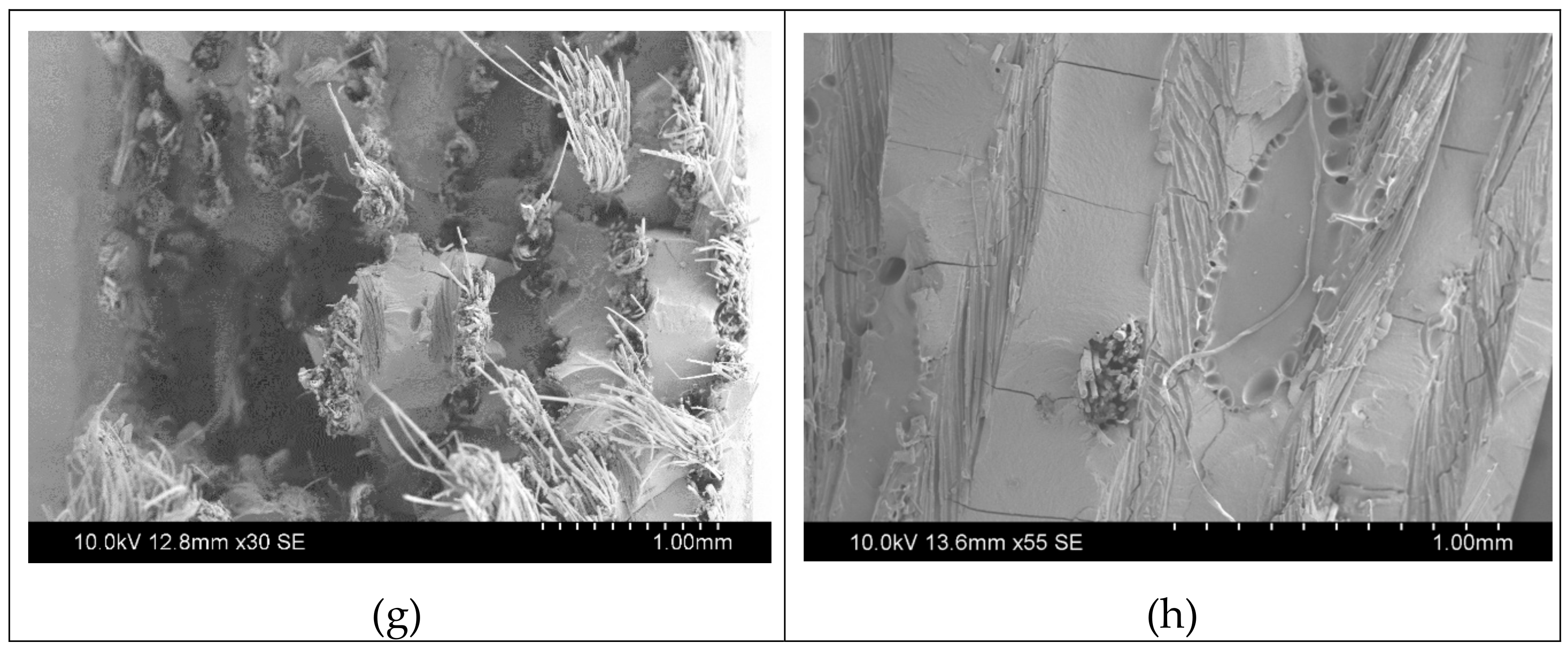 Sustainability 11 02411 g011b