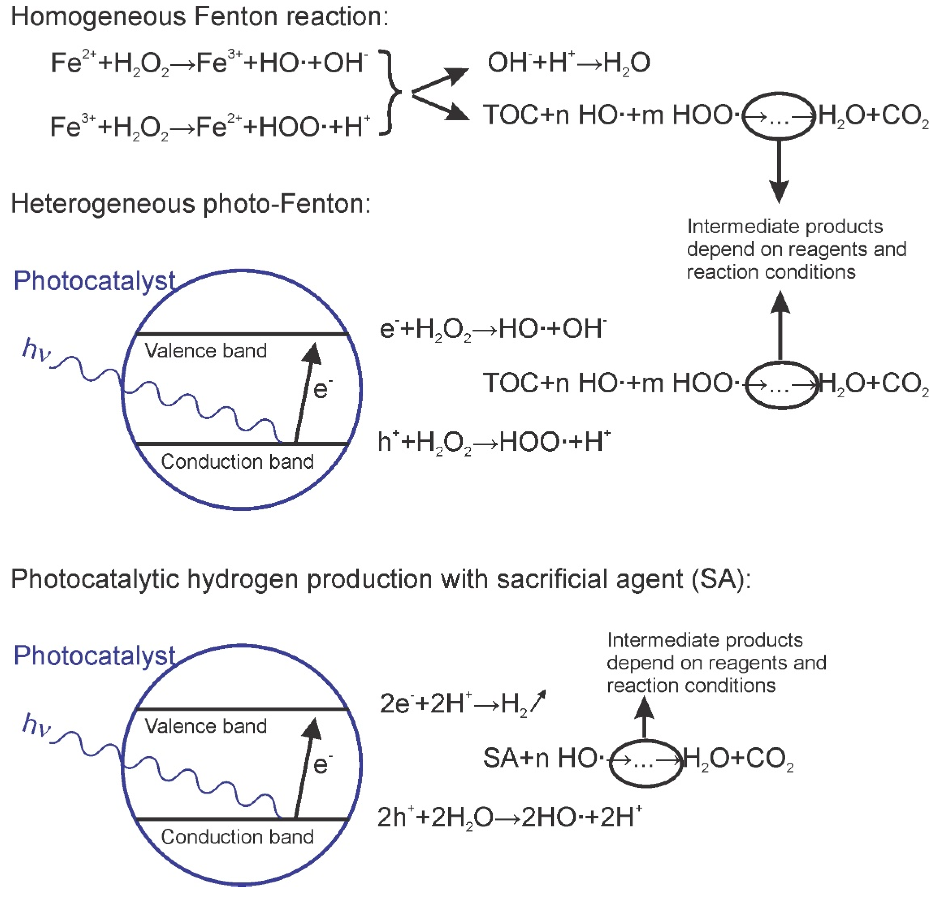 Sustainability 11 02470 g002