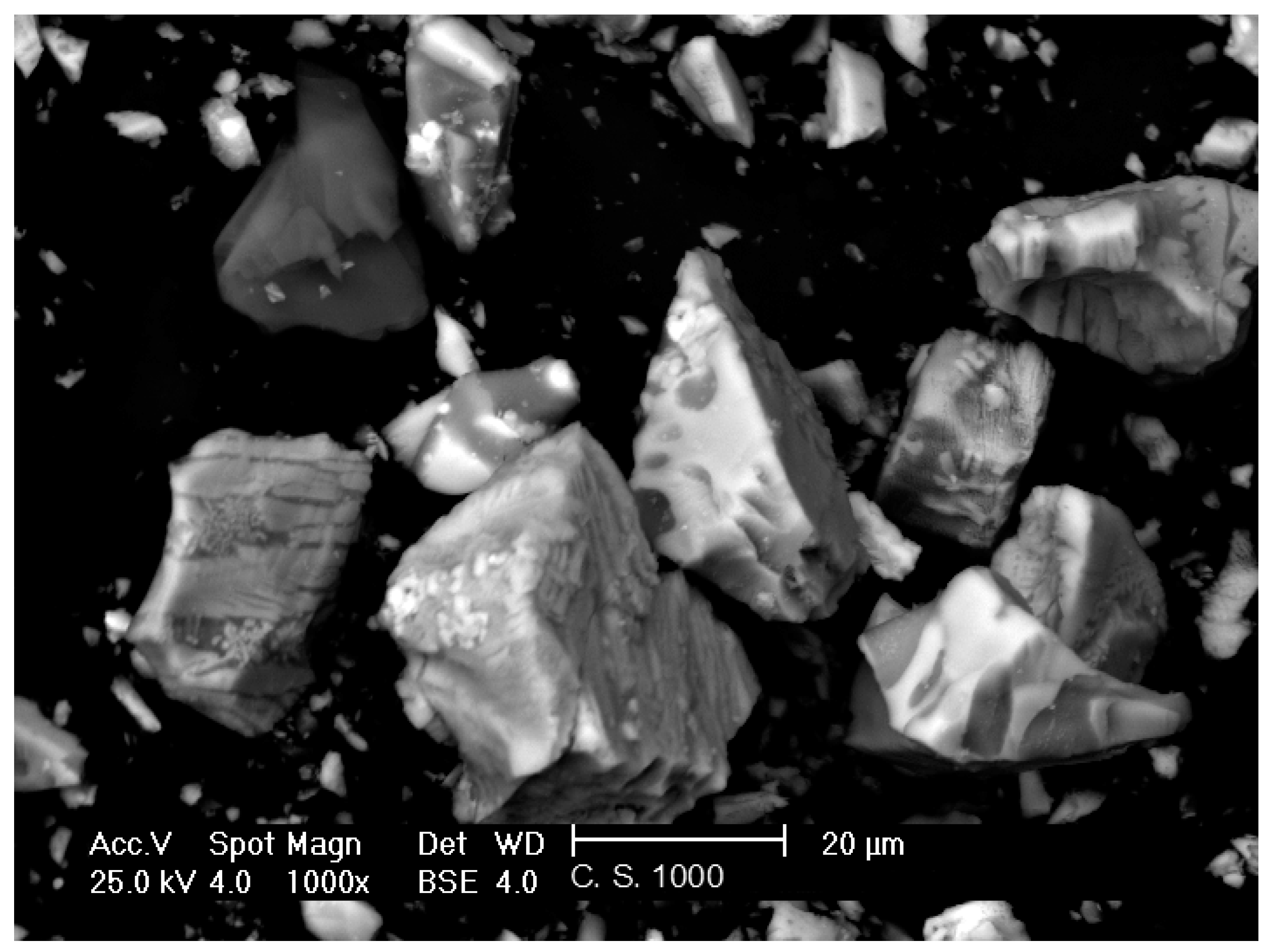 Sustainability 11 02470 g004