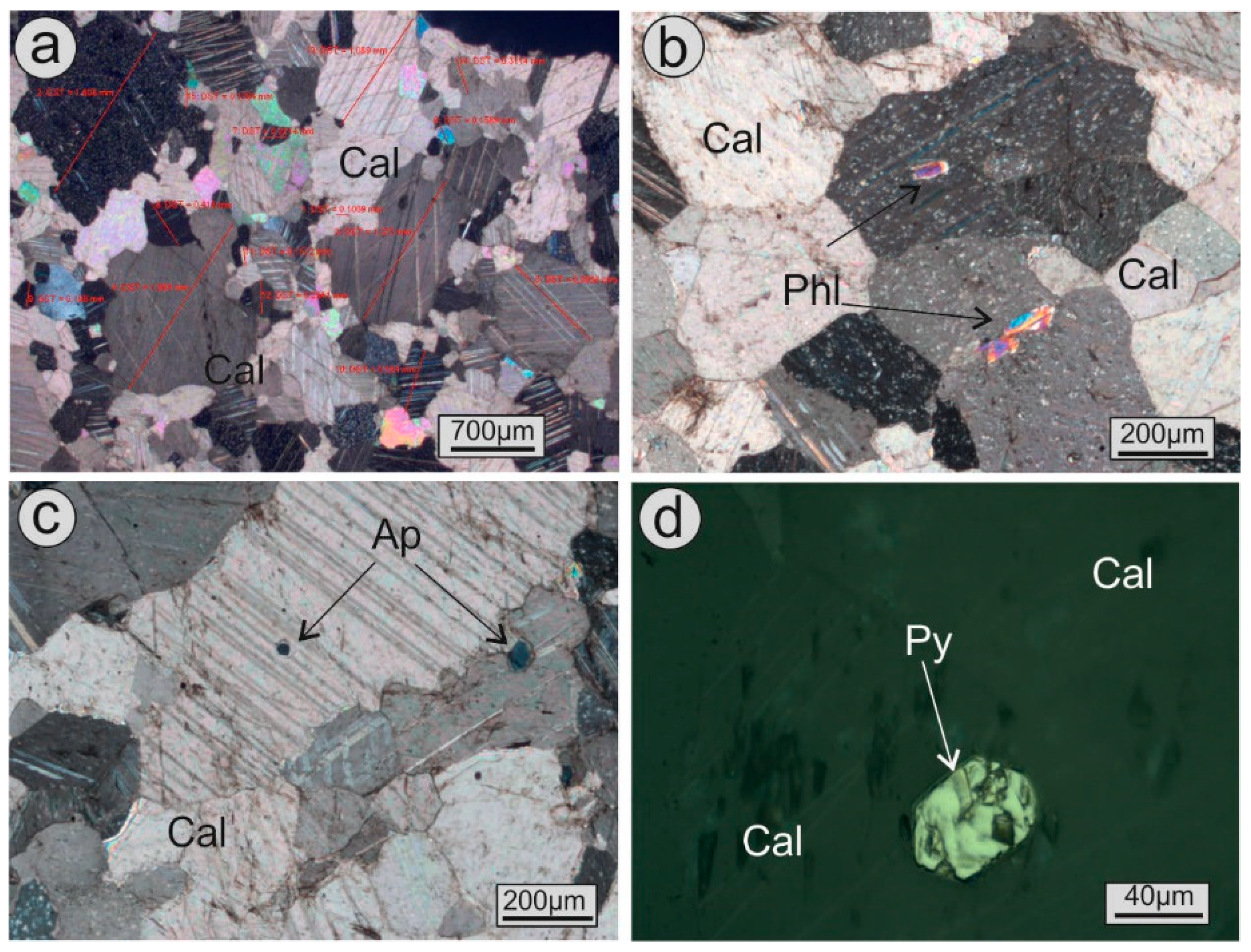Sustainability 11 02495 g012