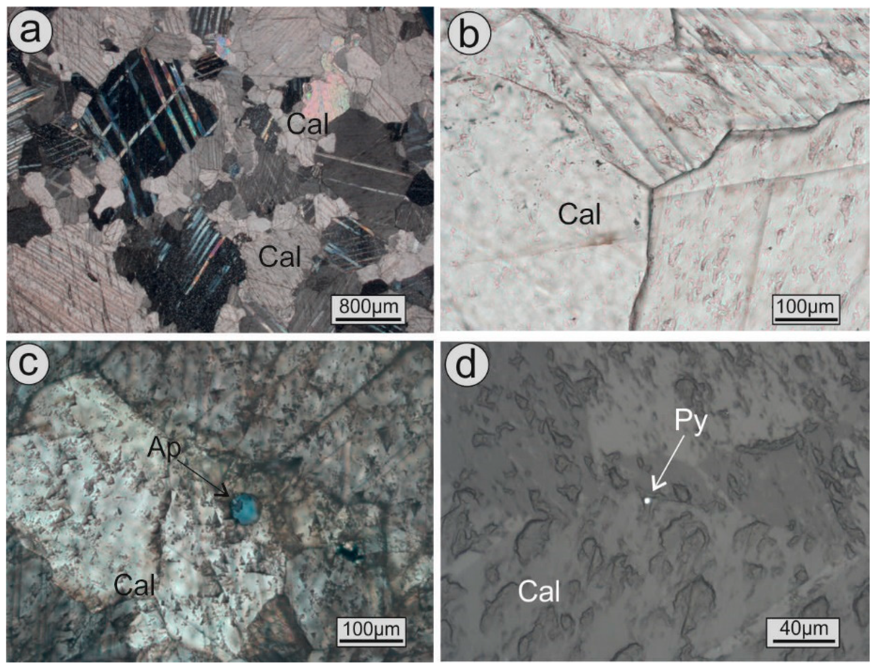Sustainability 11 02495 g015