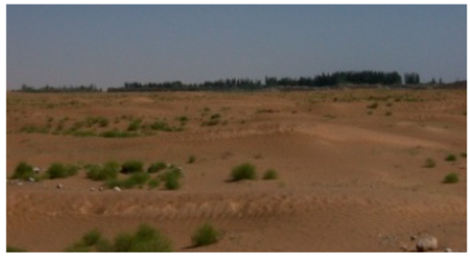 Sustainability 11 02578 i002 Sustainability 11 02578 i002