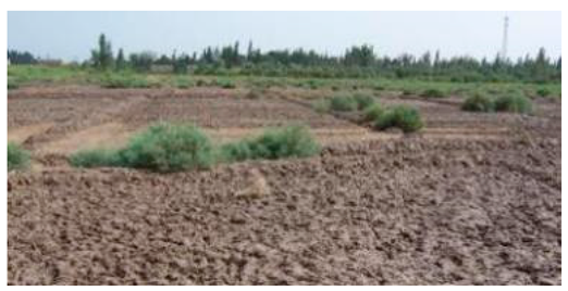 Sustainability 11 02578 i003 Sustainability 11 02578 i003