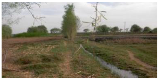 Sustainability 11 02578 i004 Sustainability 11 02578 i004