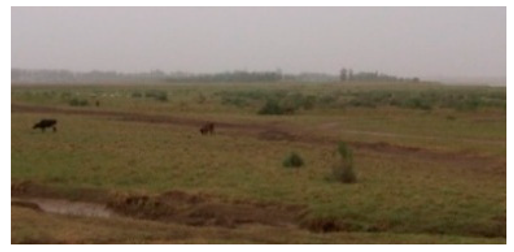 Sustainability 11 02578 i005 Sustainability 11 02578 i005