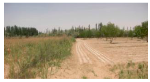 Sustainability 11 02578 i006 Sustainability 11 02578 i006